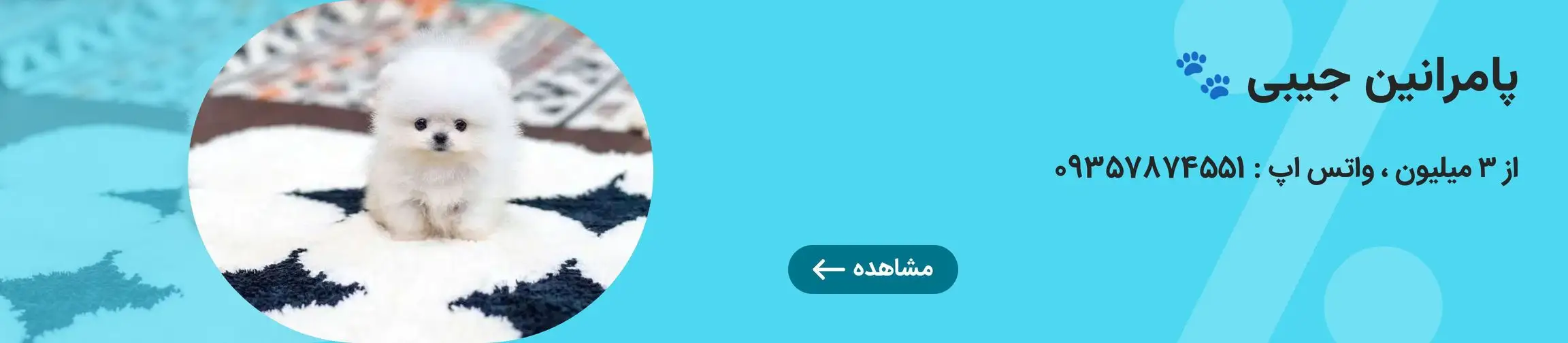 بنر تبلیغاتی