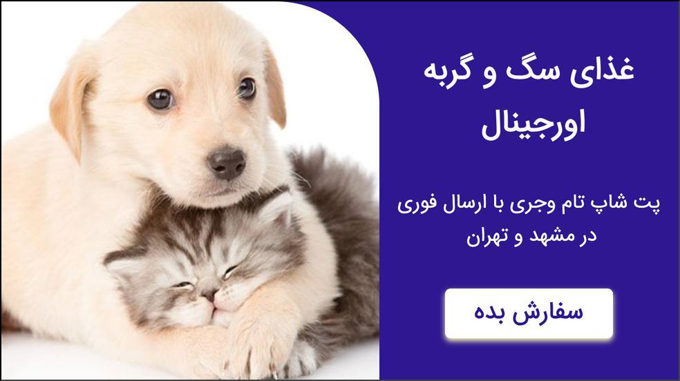 بنر تبلیغاتی