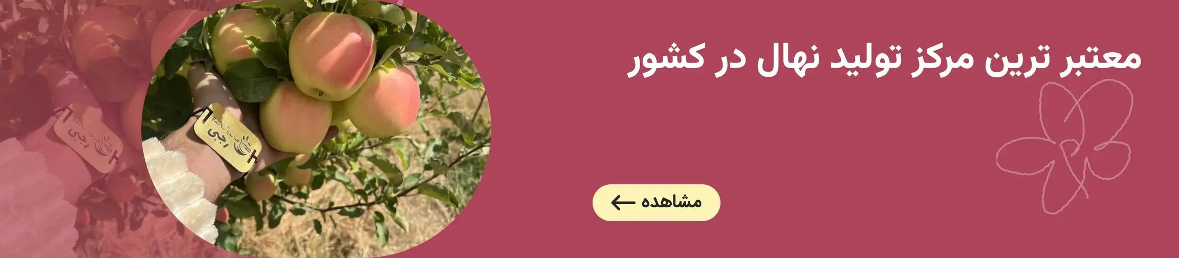 بنر تبلیغاتی