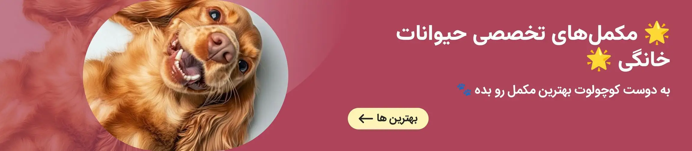 بنر تبلیغاتی