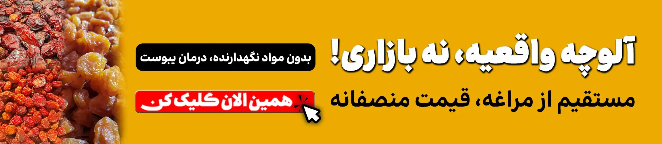 بنر تبلیغاتی