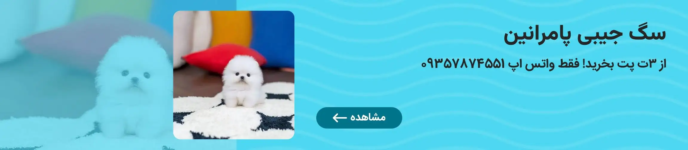 بنر تبلیغاتی