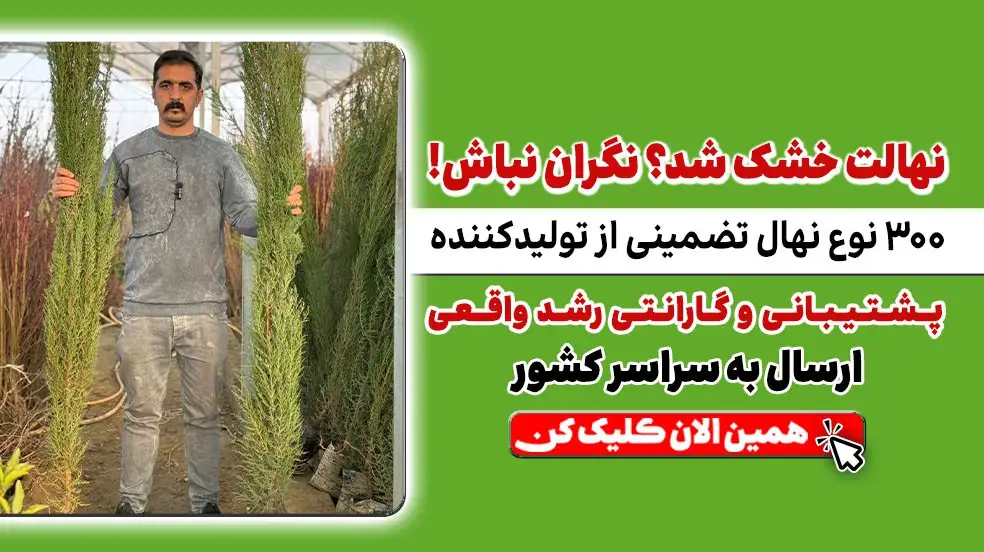 بنر تبلیغاتی