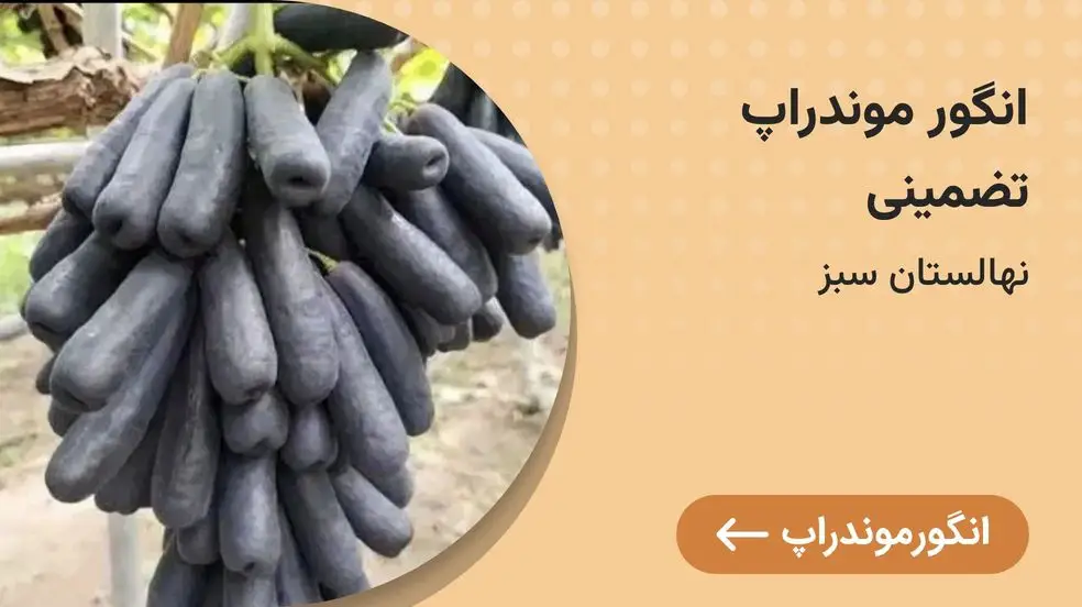 بنر تبلیغاتی