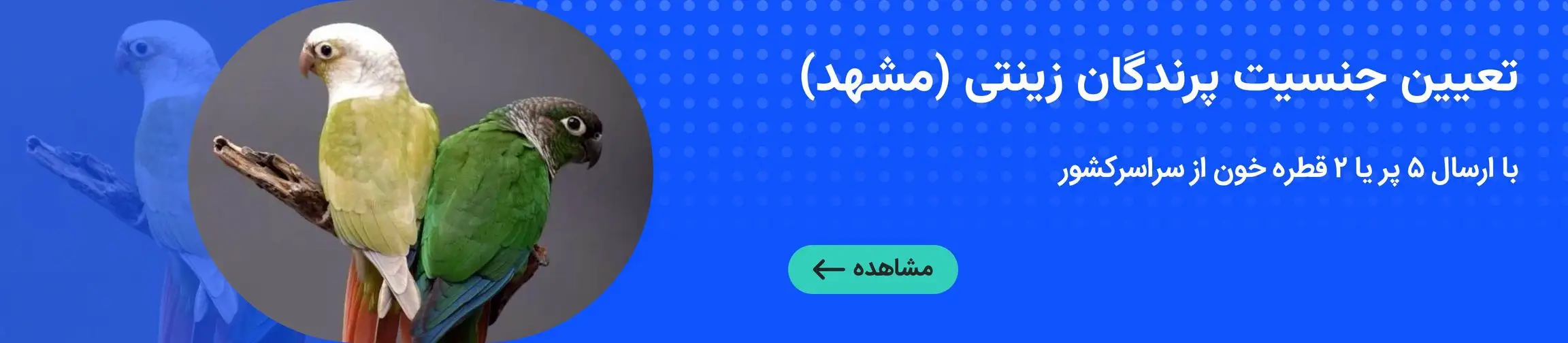 بنر تبلیغاتی