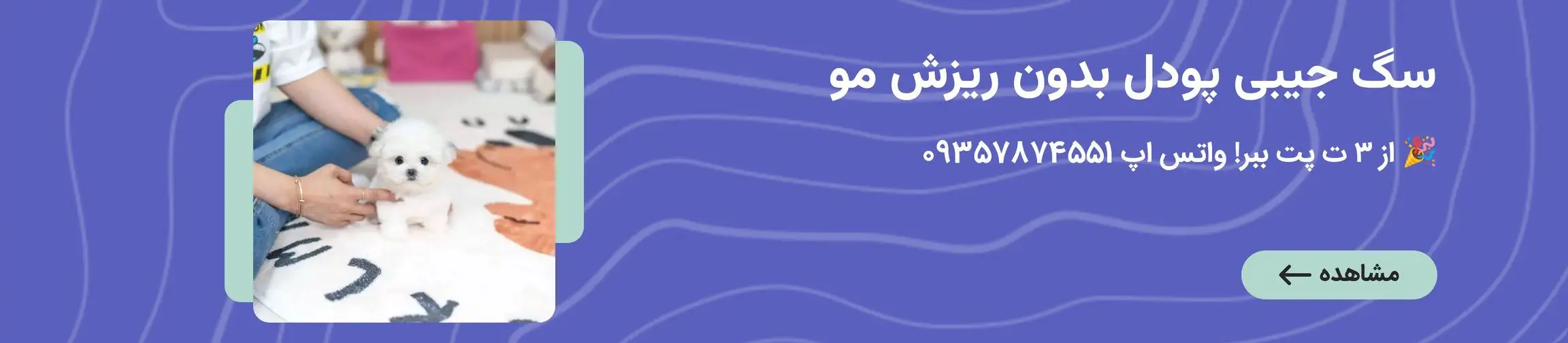 بنر تبلیغاتی