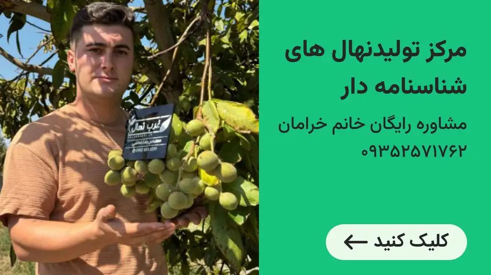 بنر تبلیغاتی