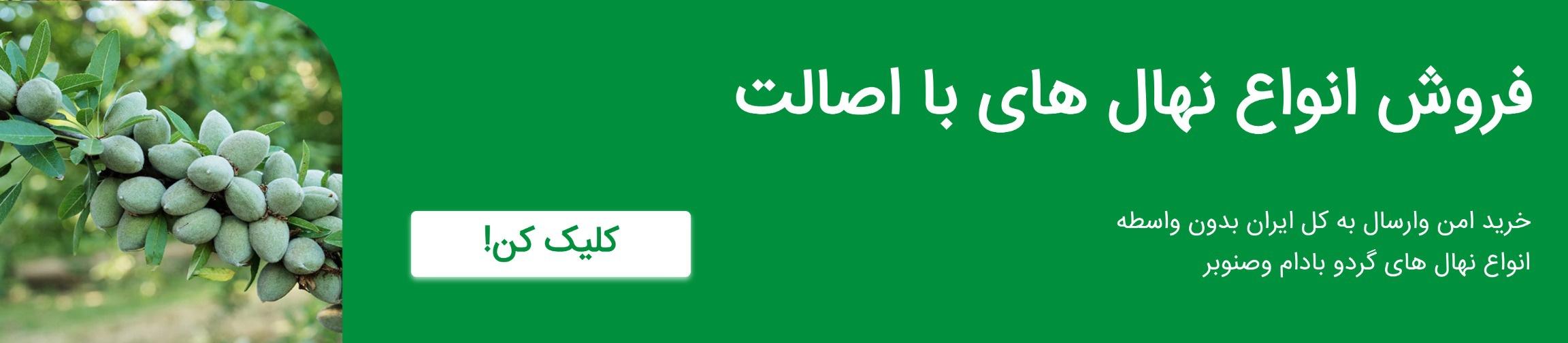 بنر تبلیغاتی