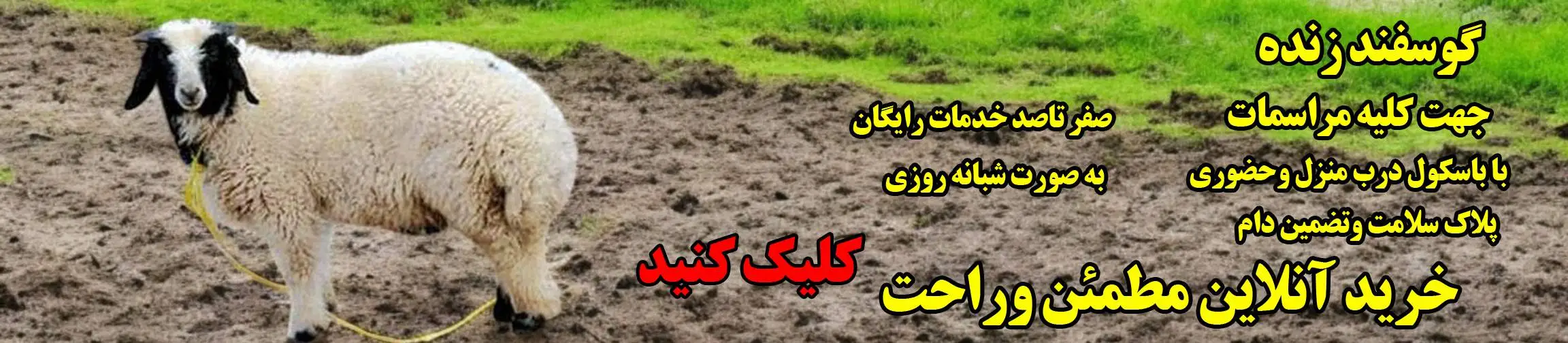 بنر تبلیغاتی