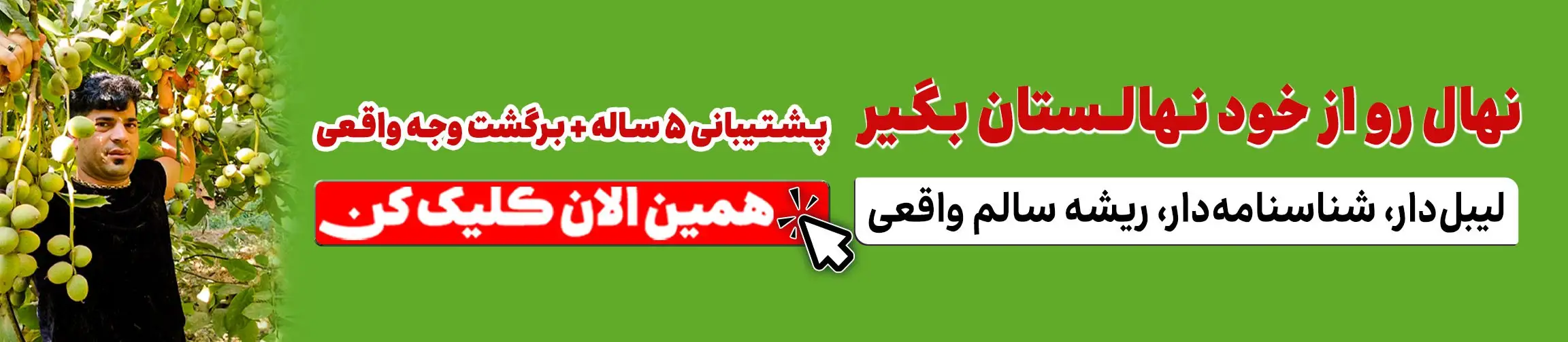 بنر تبلیغاتی