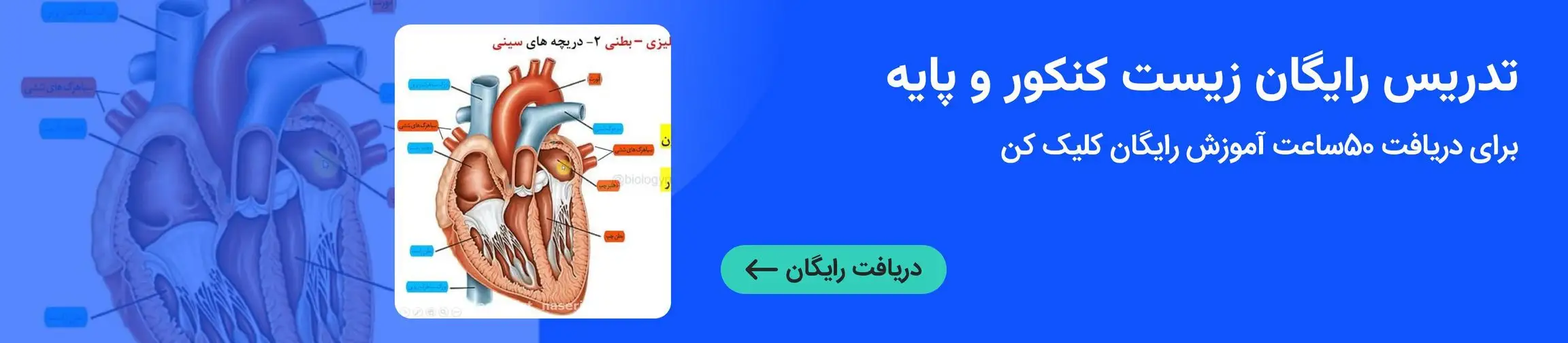 بنر تبلیغاتی