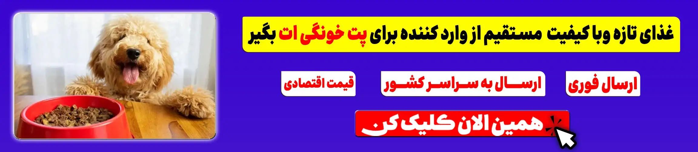 بنر تبلیغاتی