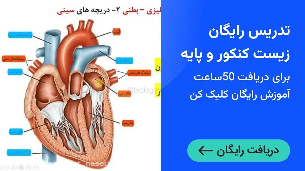 بنر تبلیغاتی