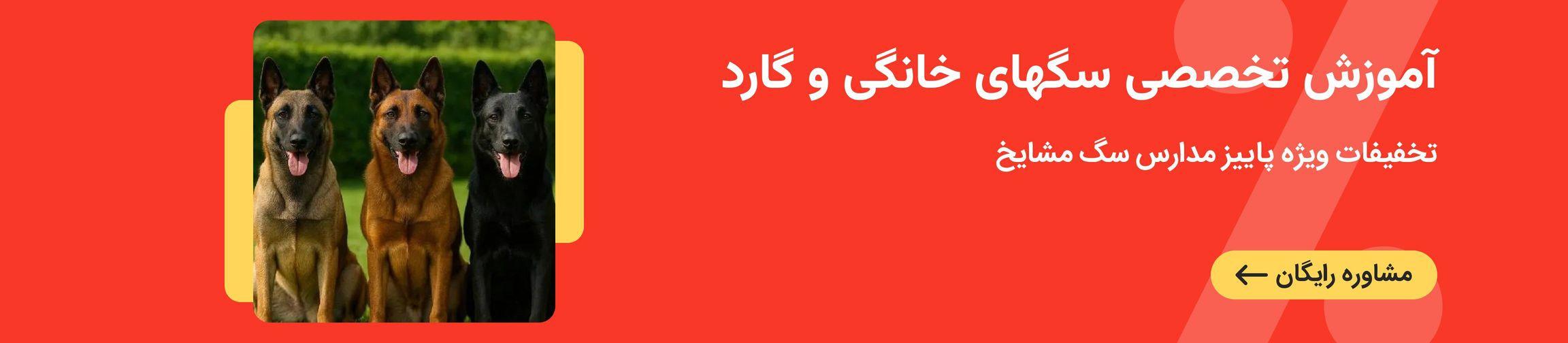 بنر تبلیغاتی