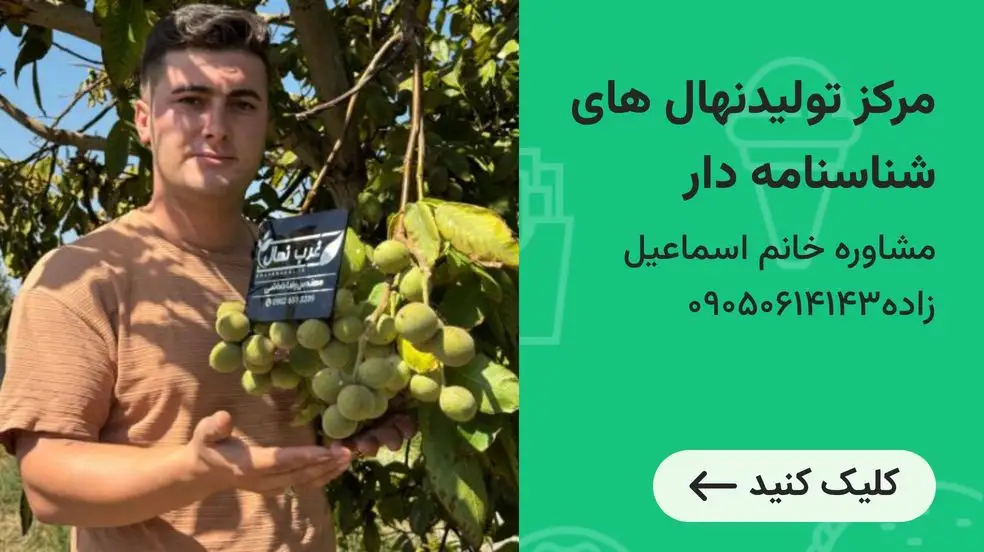 بنر تبلیغاتی