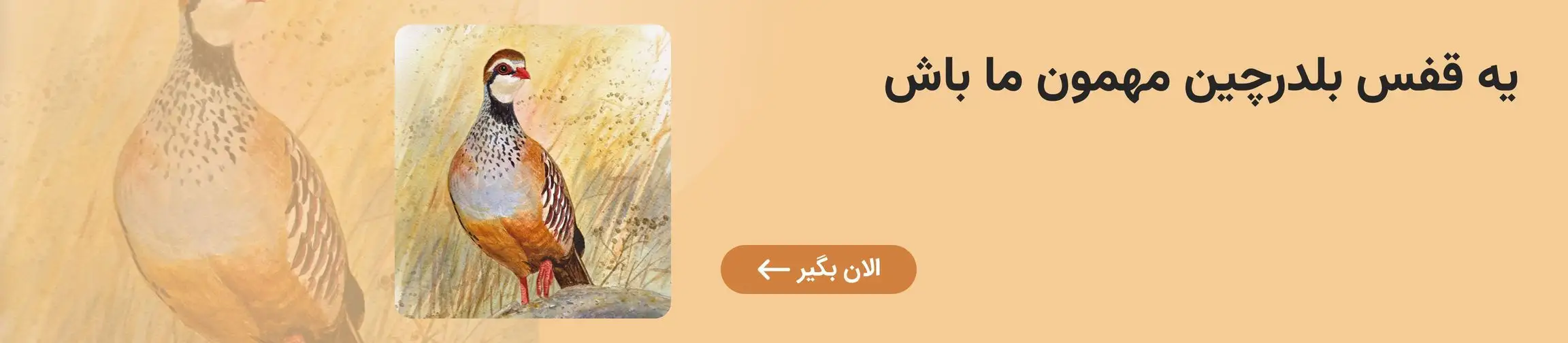 بنر تبلیغاتی