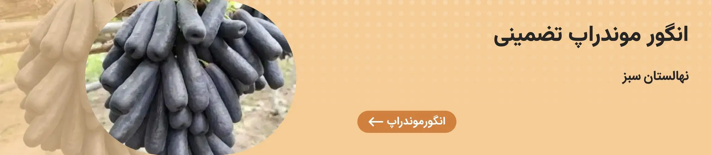 بنر تبلیغاتی