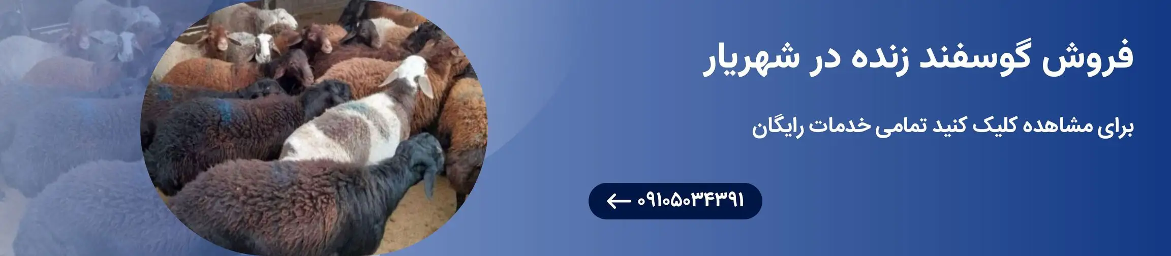 بنر تبلیغاتی