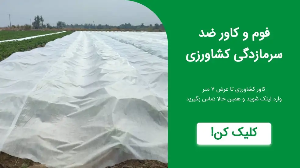 بنر تبلیغاتی