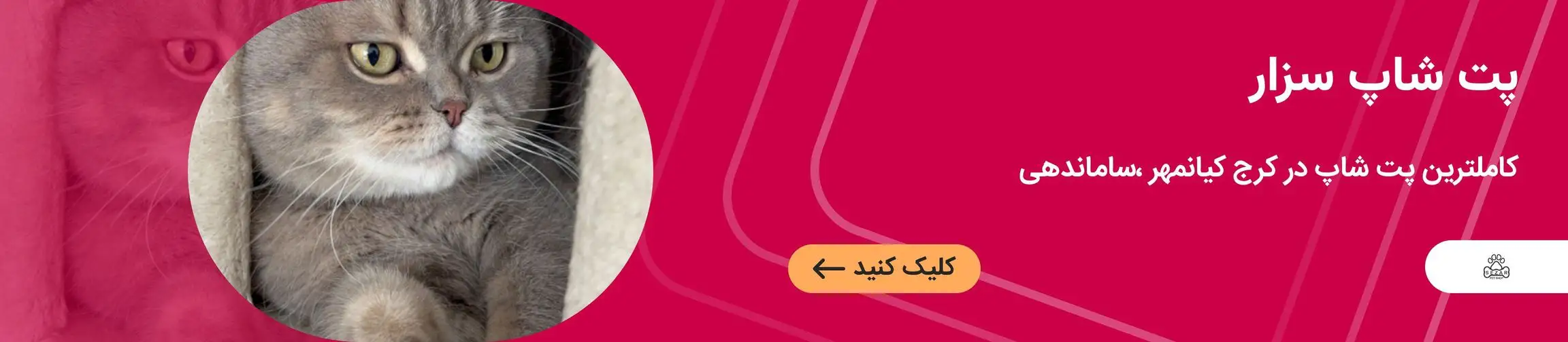 بنر تبلیغاتی