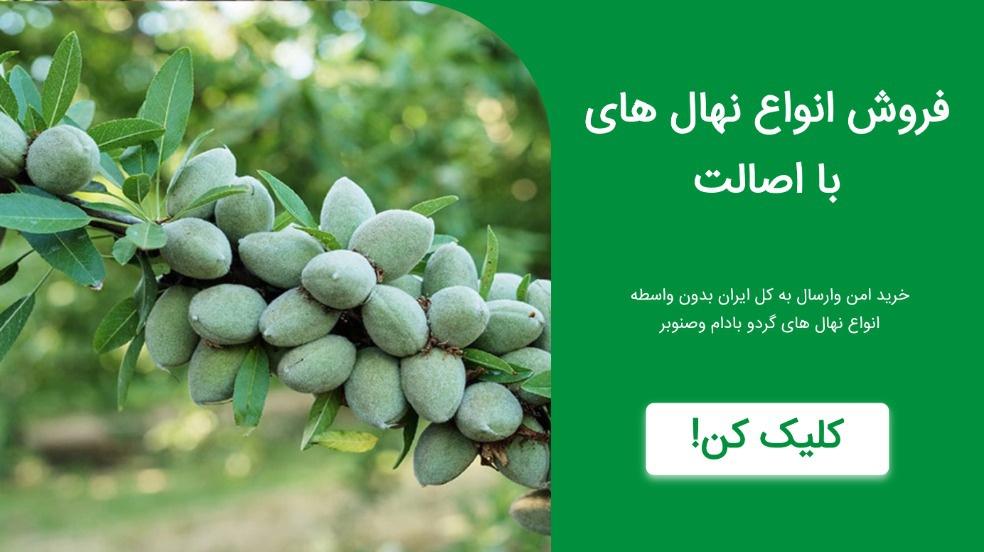 بنر تبلیغاتی