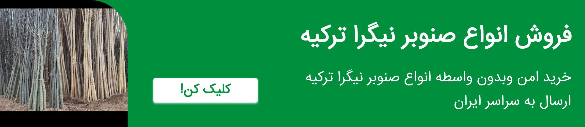 بنر تبلیغاتی