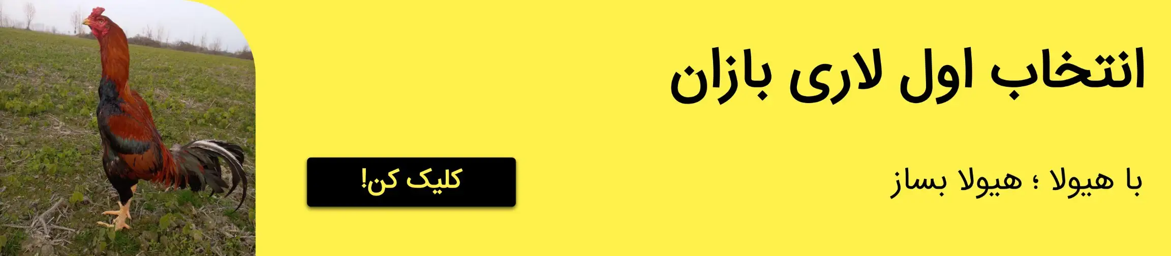 بنر تبلیغاتی