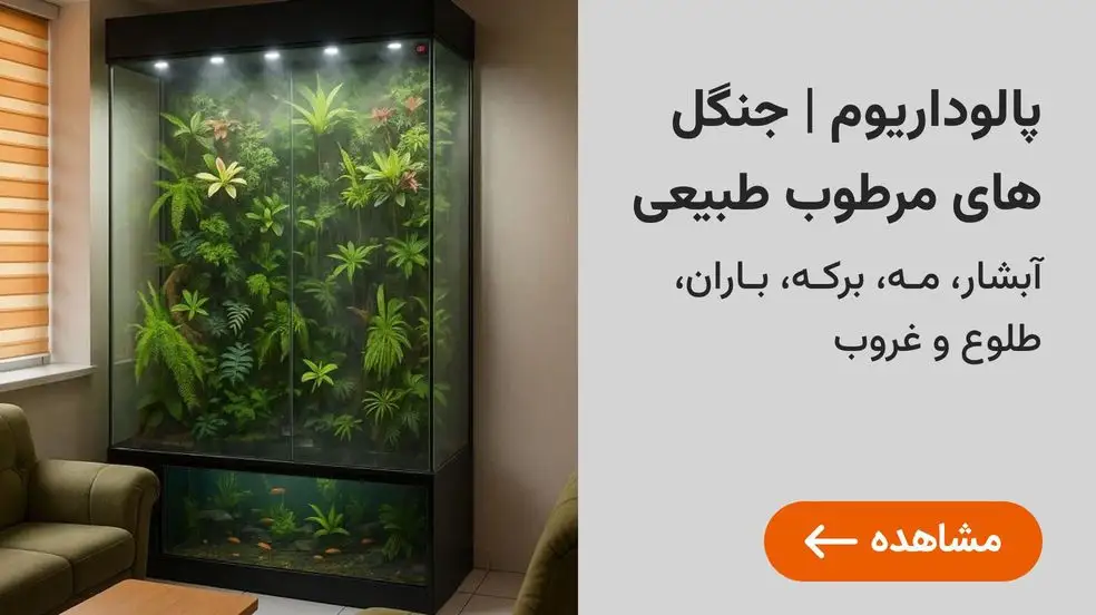 بنر تبلیغاتی