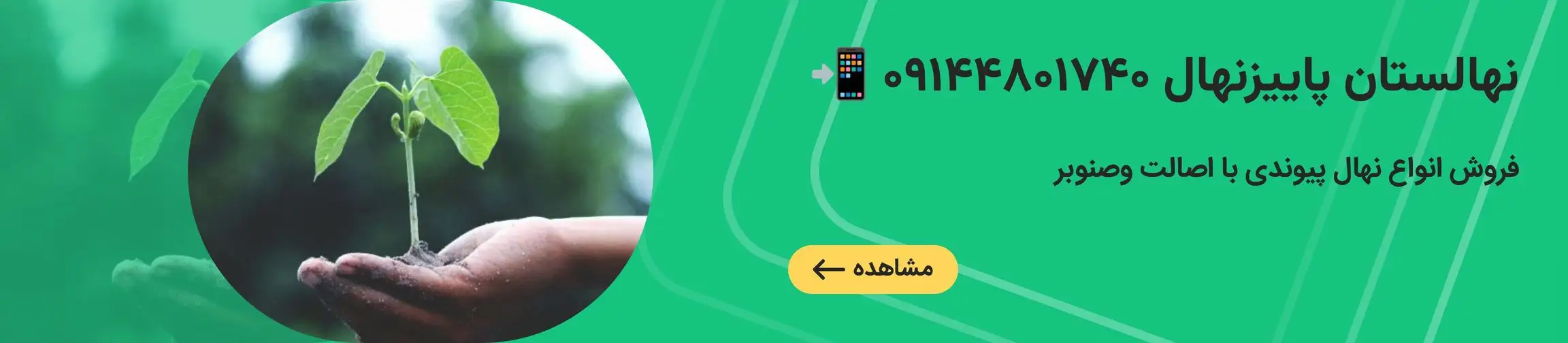 بنر تبلیغاتی