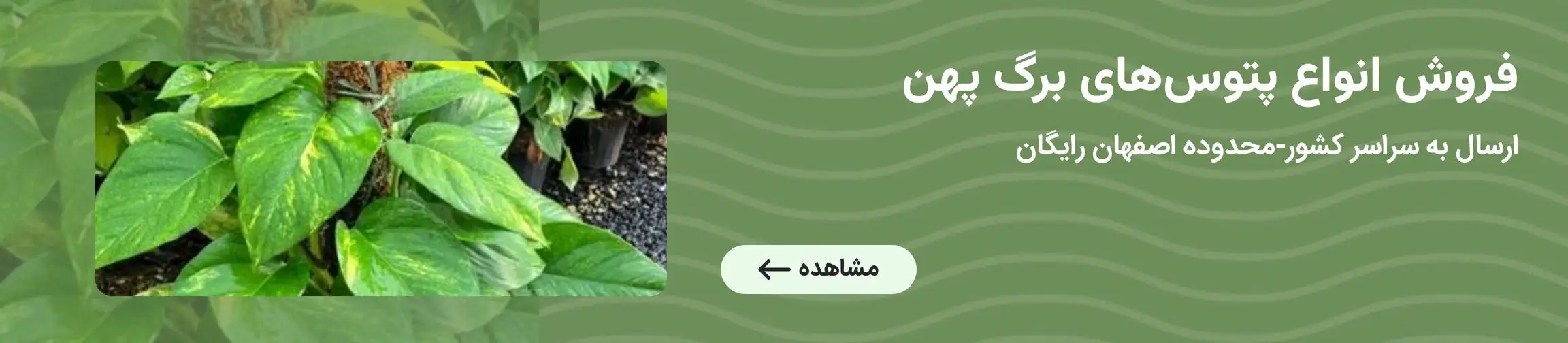 بنر تبلیغاتی