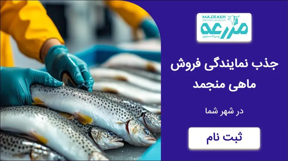 بنر تبلیغاتی