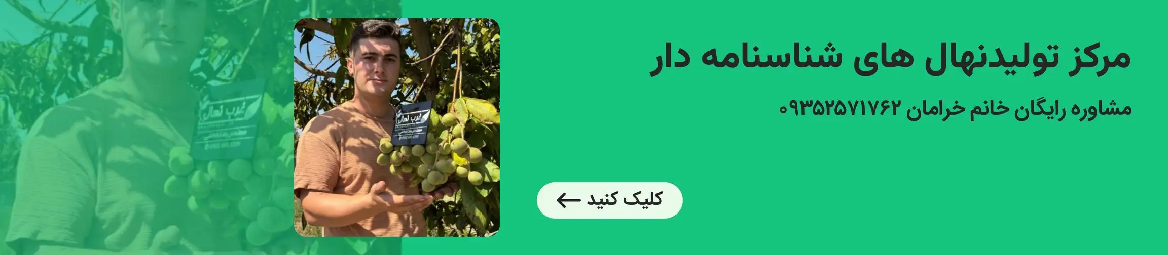 بنر تبلیغاتی
