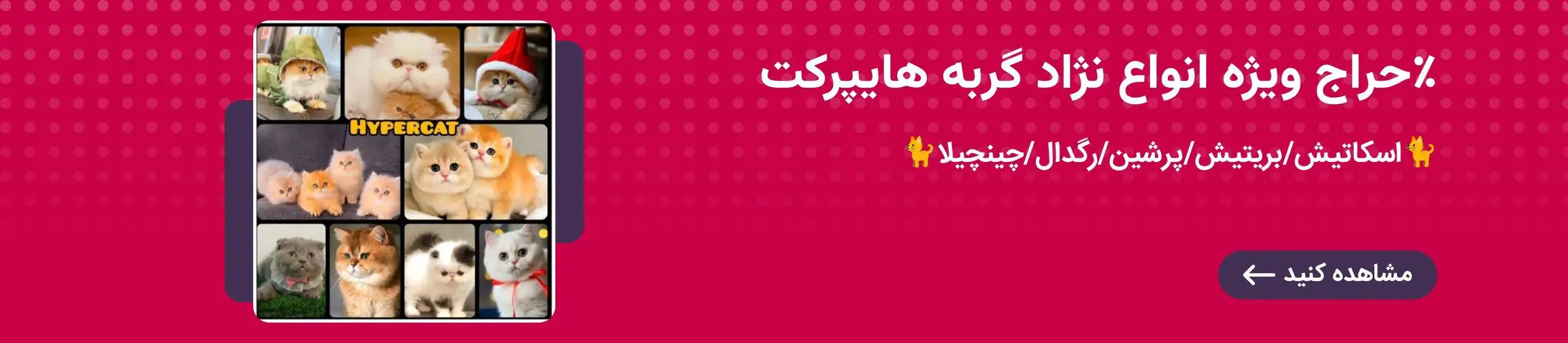 بنر تبلیغاتی