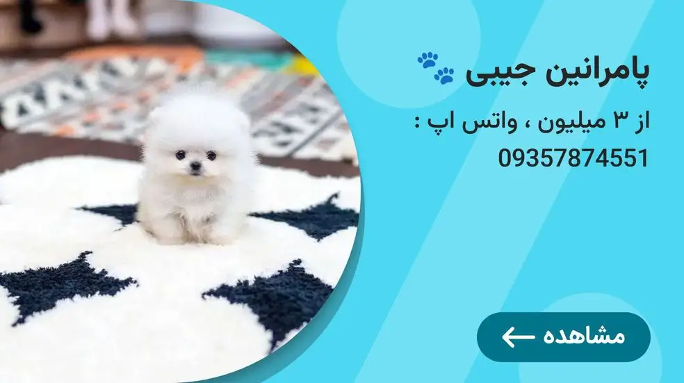 بنر تبلیغاتی