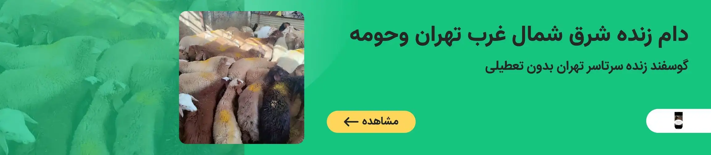 بنر تبلیغاتی